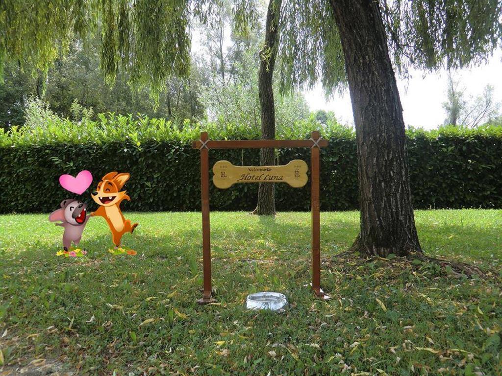 Hotel Luna Vigonovo  Dış mekan fotoğraf